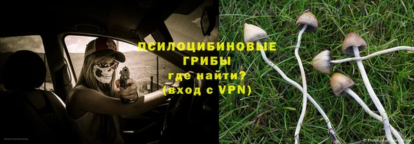герыч Алексин